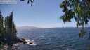 ./images/koeye/fitz-hugh/20250610/fitz-hugh20250610_144512M.jpg