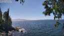 ./images/koeye/fitz-hugh/20250610/fitz-hugh20250610_145010M.jpg