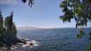 ./images/koeye/fitz-hugh/20250610/fitz-hugh20250610_145510M.jpg