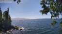 ./images/koeye/fitz-hugh/20250610/fitz-hugh20250610_150509M.jpg