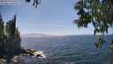 ./images/koeye/fitz-hugh/20250610/fitz-hugh20250610_151010M.jpg
