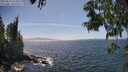 ./images/koeye/fitz-hugh/20250610/fitz-hugh20250610_152011M.jpg