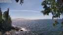 ./images/koeye/fitz-hugh/20250610/fitz-hugh20250610_152510M.jpg