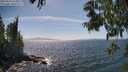 ./images/koeye/fitz-hugh/20250610/fitz-hugh20250610_153011M.jpg
