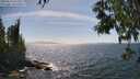 ./images/koeye/fitz-hugh/20250610/fitz-hugh20250610_153510M.jpg