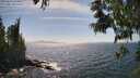 ./images/koeye/fitz-hugh/20250610/fitz-hugh20250610_154010M.jpg
