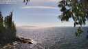 ./images/koeye/fitz-hugh/20250610/fitz-hugh20250610_154510M.jpg