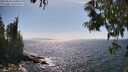 ./images/koeye/fitz-hugh/20250610/fitz-hugh20250610_160012M.jpg