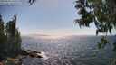 ./images/koeye/fitz-hugh/20250610/fitz-hugh20250610_160510M.jpg