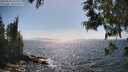./images/koeye/fitz-hugh/20250610/fitz-hugh20250610_161510M.jpg