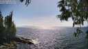 ./images/koeye/fitz-hugh/20250610/fitz-hugh20250610_163012M.jpg
