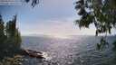 ./images/koeye/fitz-hugh/20250610/fitz-hugh20250610_163510M.jpg