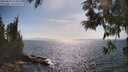 ./images/koeye/fitz-hugh/20250610/fitz-hugh20250610_164011M.jpg