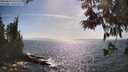 ./images/koeye/fitz-hugh/20250610/fitz-hugh20250610_164511M.jpg