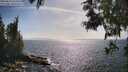 ./images/koeye/fitz-hugh/20250610/fitz-hugh20250610_165011M.jpg