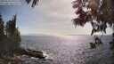 ./images/koeye/fitz-hugh/20250610/fitz-hugh20250610_170510M.jpg