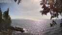./images/koeye/fitz-hugh/20250610/fitz-hugh20250610_171011M.jpg