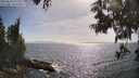 ./images/koeye/fitz-hugh/20250610/fitz-hugh20250610_171511M.jpg