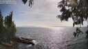 ./images/koeye/fitz-hugh/20250610/fitz-hugh20250610_172011M.jpg