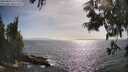 ./images/koeye/fitz-hugh/20250610/fitz-hugh20250610_172510M.jpg