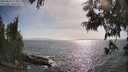 ./images/koeye/fitz-hugh/20250610/fitz-hugh20250610_173009M.jpg