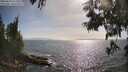 ./images/koeye/fitz-hugh/20250610/fitz-hugh20250610_173510M.jpg