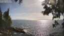 ./images/koeye/fitz-hugh/20250610/fitz-hugh20250610_174011M.jpg