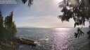 ./images/koeye/fitz-hugh/20250610/fitz-hugh20250610_174511M.jpg