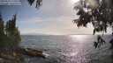 ./images/koeye/fitz-hugh/20250610/fitz-hugh20250610_175011M.jpg