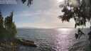 ./images/koeye/fitz-hugh/20250610/fitz-hugh20250610_175510M.jpg
