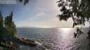 ./images/koeye/fitz-hugh/20250610/fitz-hugh20250610_181010M.jpg