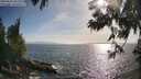 ./images/koeye/fitz-hugh/20250610/fitz-hugh20250610_181510M.jpg