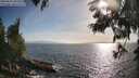 ./images/koeye/fitz-hugh/20250610/fitz-hugh20250610_182509M.jpg
