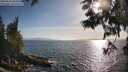 ./images/koeye/fitz-hugh/20250610/fitz-hugh20250610_183510M.jpg