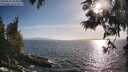 ./images/koeye/fitz-hugh/20250610/fitz-hugh20250610_184011M.jpg