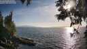 ./images/koeye/fitz-hugh/20250610/fitz-hugh20250610_185510M.jpg