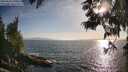 ./images/koeye/fitz-hugh/20250610/fitz-hugh20250610_190010M.jpg