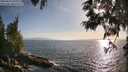 ./images/koeye/fitz-hugh/20250610/fitz-hugh20250610_190509M.jpg