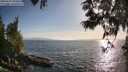 ./images/koeye/fitz-hugh/20250610/fitz-hugh20250610_191009M.jpg