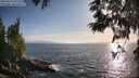 ./images/koeye/fitz-hugh/20250610/fitz-hugh20250610_191509M.jpg