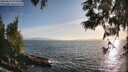 ./images/koeye/fitz-hugh/20250610/fitz-hugh20250610_193508M.jpg