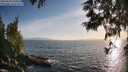 ./images/koeye/fitz-hugh/20250610/fitz-hugh20250610_194509M.jpg