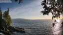 ./images/koeye/fitz-hugh/20250610/fitz-hugh20250610_195008M.jpg
