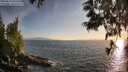 ./images/koeye/fitz-hugh/20250610/fitz-hugh20250610_200508M.jpg