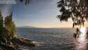 ./images/koeye/fitz-hugh/20250610/fitz-hugh20250610_201009M.jpg
