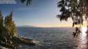 ./images/koeye/fitz-hugh/20250610/fitz-hugh20250610_202009M.jpg