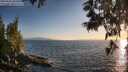 ./images/koeye/fitz-hugh/20250610/fitz-hugh20250610_202509M.jpg