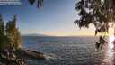 ./images/koeye/fitz-hugh/20250610/fitz-hugh20250610_203008M.jpg