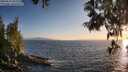 ./images/koeye/fitz-hugh/20250610/fitz-hugh20250610_203509M.jpg