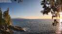 ./images/koeye/fitz-hugh/20250610/fitz-hugh20250610_204009M.jpg